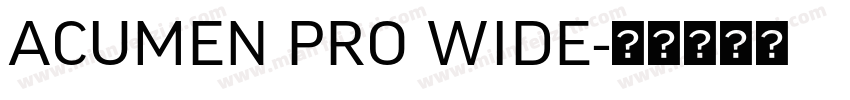 ACUMEN PRO WIDE字体转换